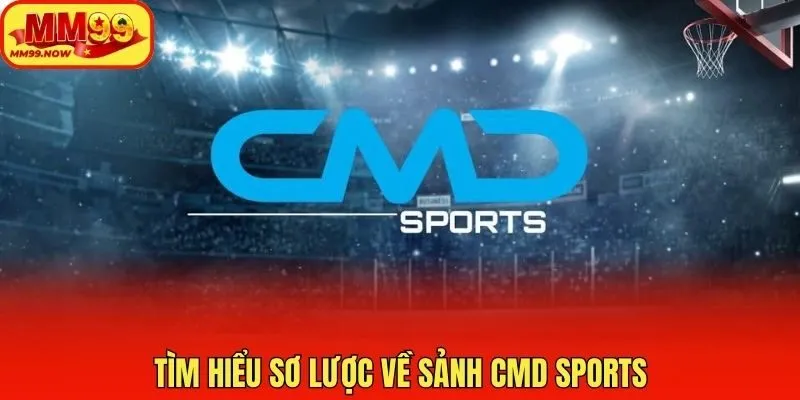 Tìm hiểu sơ lược về sảnh CMD Sports